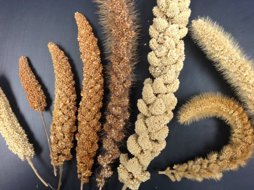 Millets