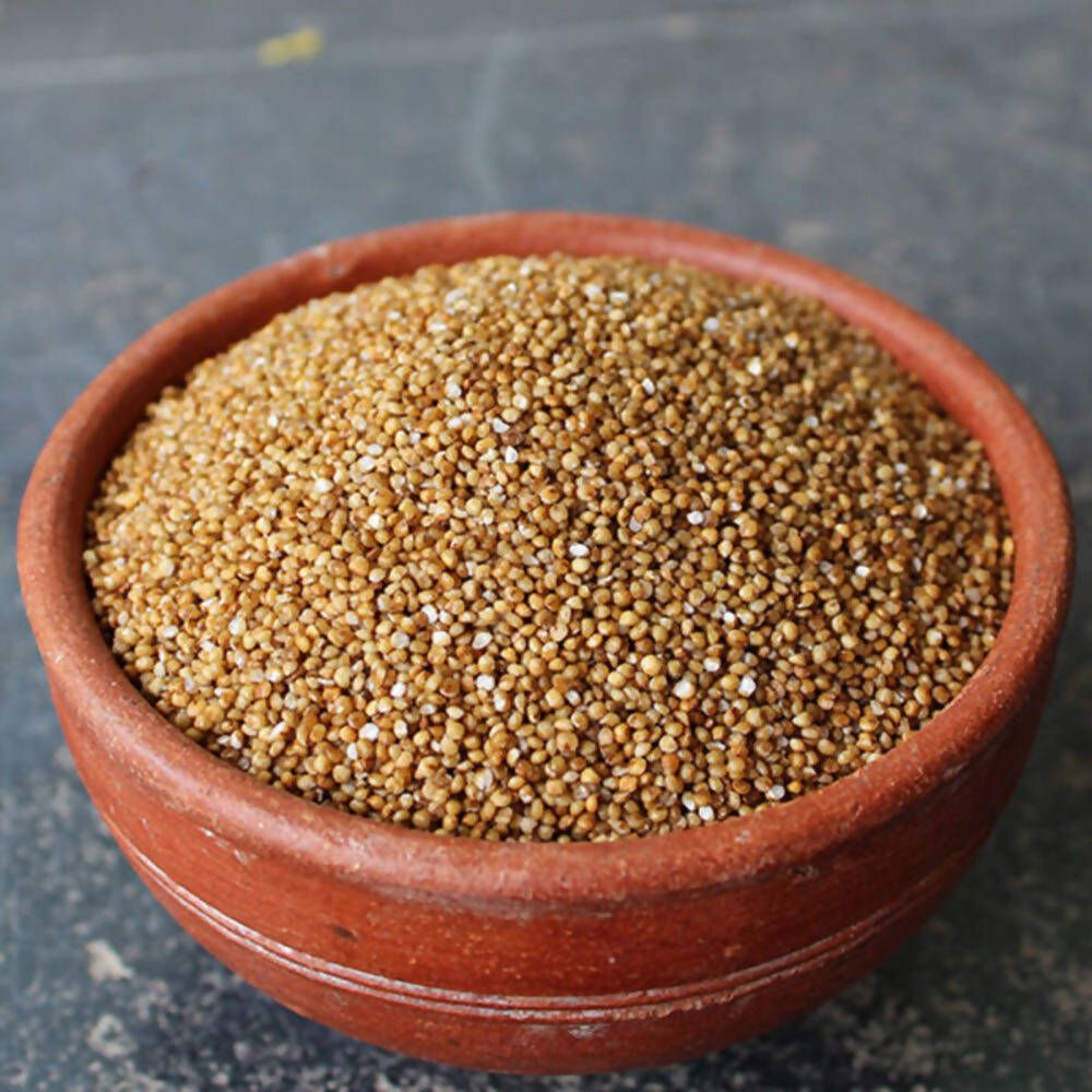 Kodo Millet / అరికెలు – view 1