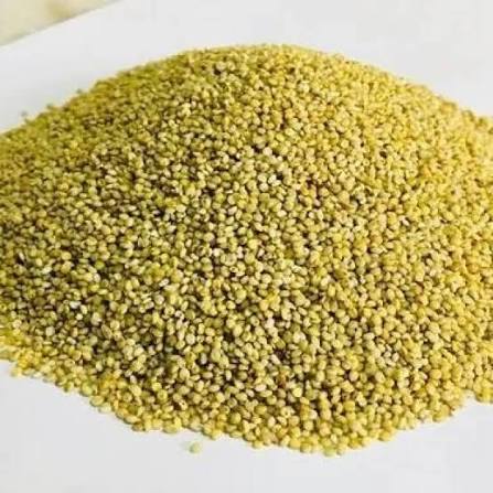 Browntop Millet/అండు కొర్రలు – view 1