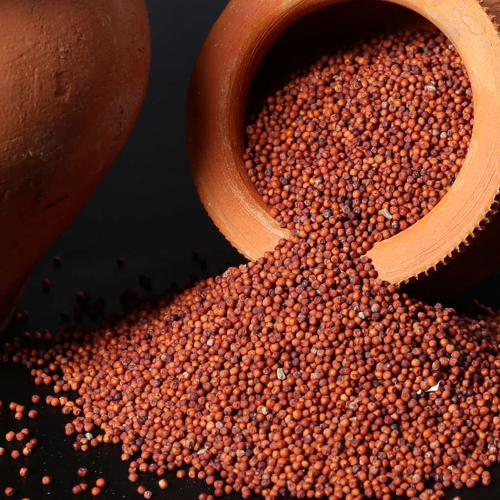 Organic Ragi Whole / Finger Millet Whole – view 1
