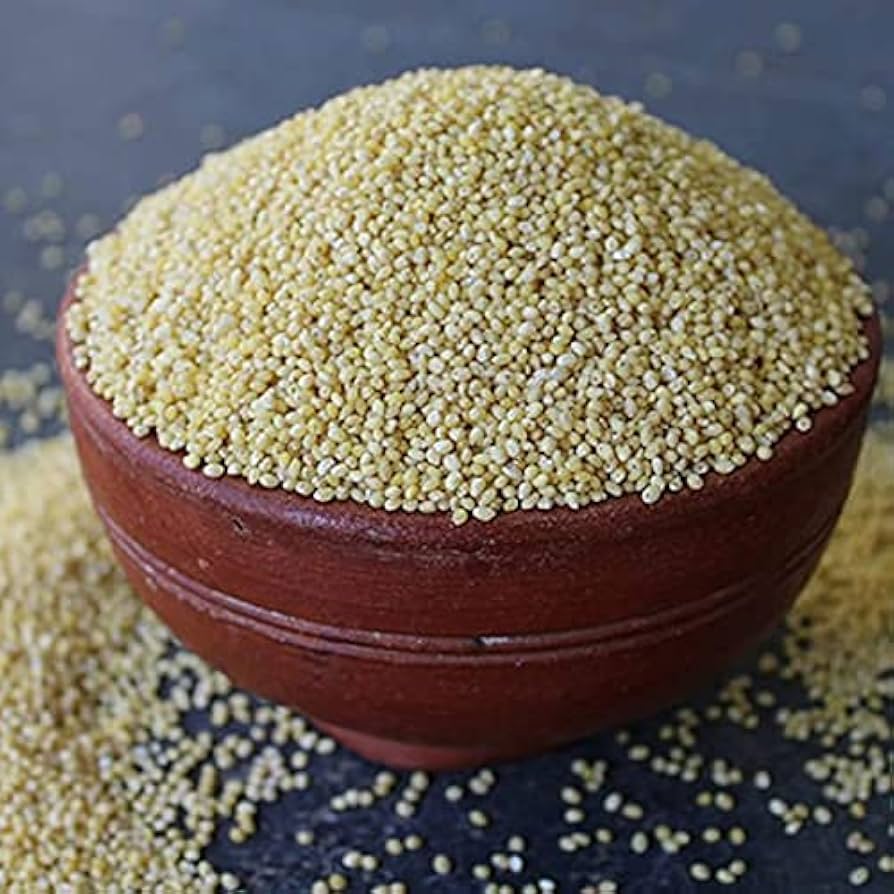 Little Millet/అరికలు – view 1